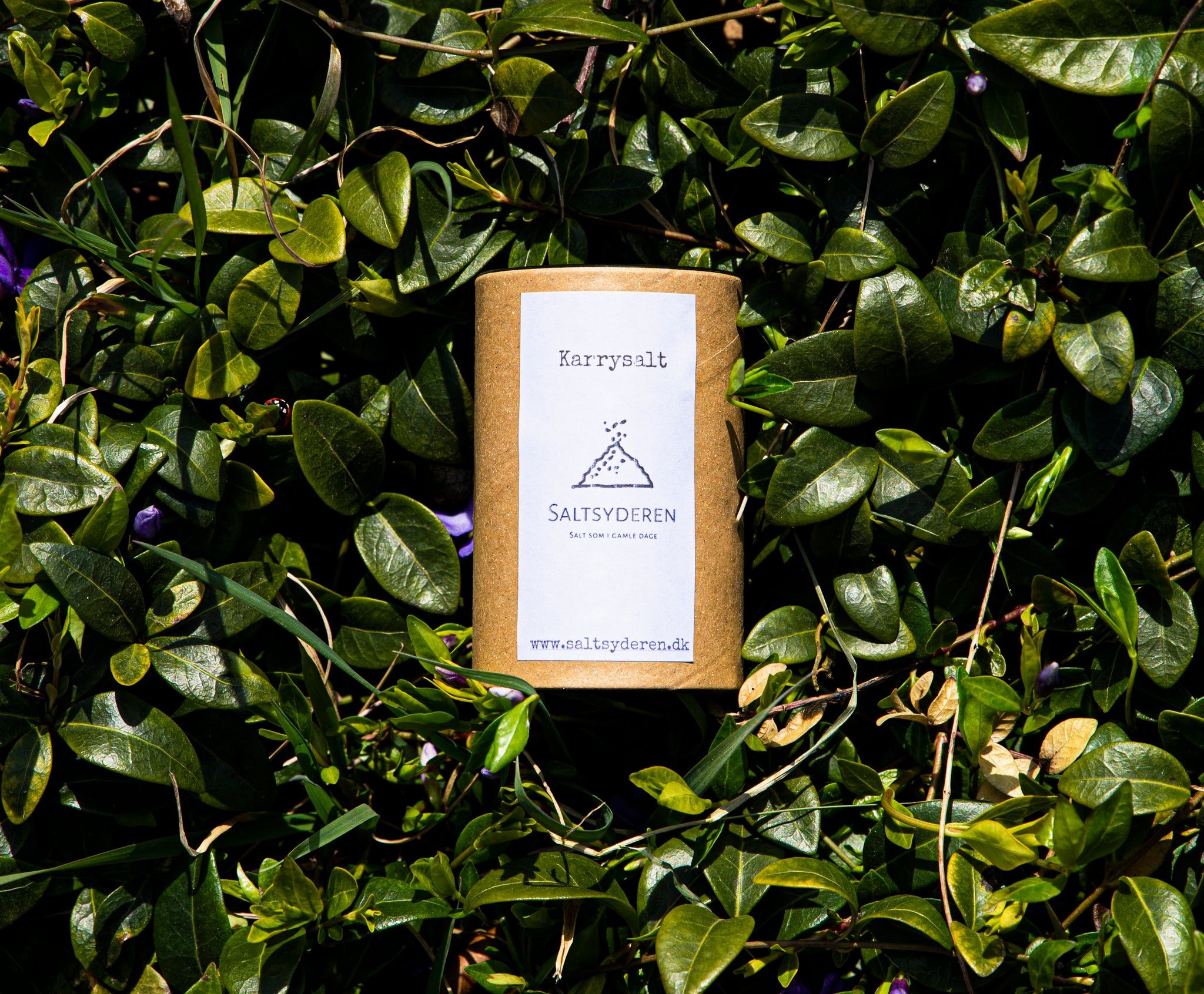 Urtesalt - Karrysalt